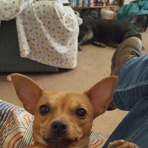 Meet your Posher, Mike